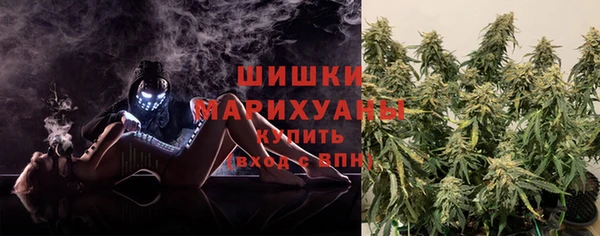 дмт Белокуриха