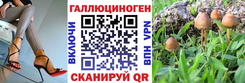 наркошоп  Кудрово  kraken как войти  Галлюциногенные грибы Psilocybine cubensis 