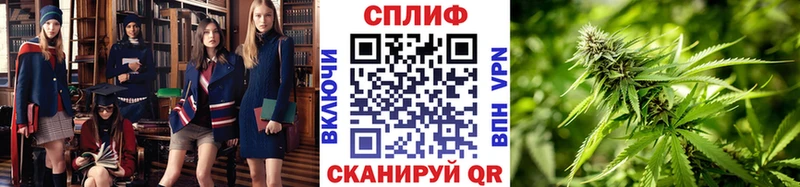 OMG маркетплейс  Кудрово  Марихуана гибрид 